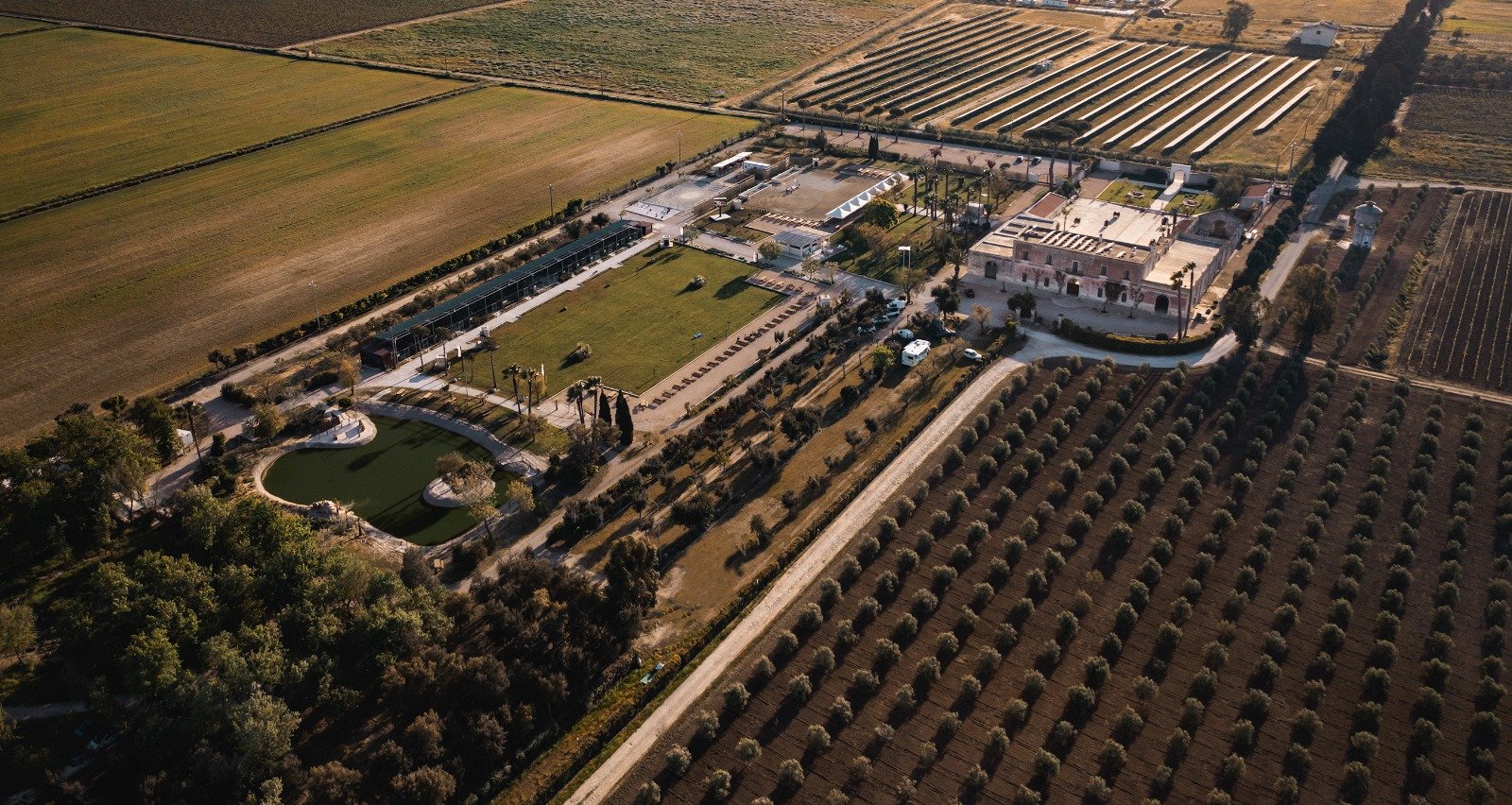 Immagine del profilo